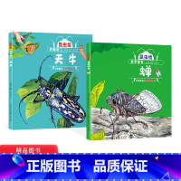 [正版]全2册昆虫绘系列铁嘴锯工天牛夏季歌者蝉精装绘本图画书昆虫绘手绘科普3-6岁让小朋友了解天牛和蝉的图画书未来出版