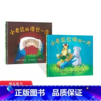 [正版]小老鼠的漫长一夜小老鼠忙碌的一天2册蒲蒲兰硬壳精装绘本图画书童书