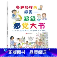 单本全册 [正版]各种各样的感觉超级感觉大书硬壳精装绘本启发图画书适合3岁以上亲子阅读童书