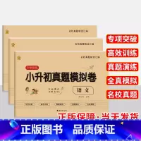 [冲刺名校 全3本]真题模拟卷-语数英 小学升初中 [正版]小升初真题模拟卷2024新版语文数学英语 小学毕业升学系统总