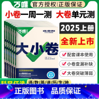[人教版]语数英政史地生7本 七年级下 [正版]2025万唯大小卷七年级上册下册语文数学英语生物政治历史人教北师大湘教版