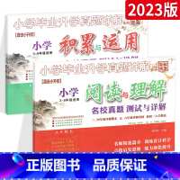 [⭐尖子生 推荐⭐]阅读与理解+积累与运用2本 小学通用 [正版]小升初小学文言文+小学古诗词名校真题测试与详解小学毕业
