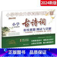[正版]2024版古诗词小升初真题训练卷 小学三四五六年级练习资料 真题测试与详解 专项训练试卷 古诗词小学生常备