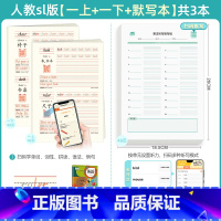 [字帖+默写]一年级上下3本 小学通用 [正版]2025人教版一起点手写体英语字帖人教SL版同步练字帖下册上册单词描红本