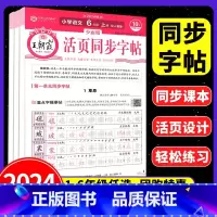 [语文]同步字帖 六年级下 [正版]2025活页同步字帖小学语文一二三四五六年级上册人教版小学123456年级语文活页字