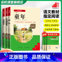 快乐读书吧六年级下册全套3本 [正版]名校课堂快乐读书吧六年级上册下册必读书侠爱的教育童年小英雄雨来尼尔斯骑鹅旅行记 小