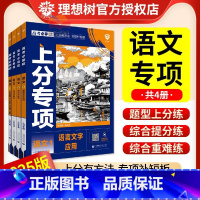 [语文·4本套]语文1.2.3.4 全国通用[语文]上分专项 [正版]高考2025上分专项专题专练突破语文 语言文字运用