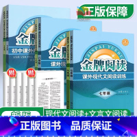 [实惠❤️拿高分]现代文+文言文阅读 八年级 [正版] 金牌阅读初中七年级八年级九年级语文课外现代文阅读文言文阅读训练初