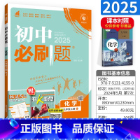 化学 九年级/初中三年级 [正版]2025初中化学九年级上册人教版 化学中考总复习资料 初三化学教辅书 化学同步练习册