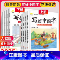 2本套装: [上册+下册]语文练字帖 小学六年级 [正版]2025写好中国字一年级二年级三四年级五六年级上册语文同步练字