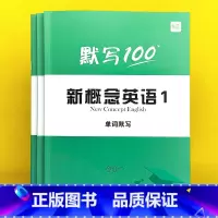3本:(单词+短语+句子)第1册 小学升初中 [正版]2025 新概念英语1 第一册单词默写本练习册短语句子默写本全套字