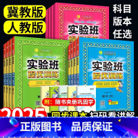 全套✔️3本:语文+数学(冀教版)+英语(冀教版) 六年级下 [正版]2025新版实验班提优训练一年级二年级三年级上册四