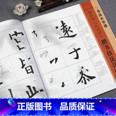 欧阳询《九成宫》 [正版]颜真卿楷书技法详解练字帖初学者入门基础笔画偏旁部首字形结构毛笔书法临摹字帖勤礼碑圣教序玄秘塔九