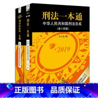 [正版]2019年刑法一本通 第十四版4版李立众+刑事诉讼法一本通 第十三版3版 刘志伟 全2册 刑诉法法规实用工具