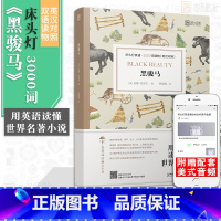 [正版]含音频床头灯读物本系列英语3000词 黑骏马中英文双语书籍 高中一二大学四级阅读强化训练外国小说欣赏课外书世界