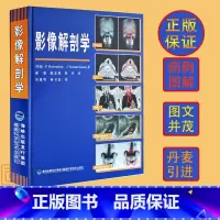 [正版]影像解剖学 X线CT磁共振MRI超声诊断医学超声影像学诊断原理与技术及各部位影像解剖学图解图谱影像解剖学临床解