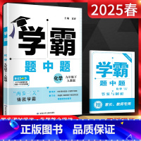 化学 九年级下 [正版]经纶学典2025春学霸题中题九年级化学下册人教版RJ 学霸化学九下中学教辅初三9年级下同步课时作