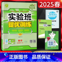 数学 九年级下 [正版]江苏版2025春实验班提优训练九年级下册数学苏科版JSKJ 初三9年级下同步课时作业训练尖子生提
