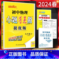 物理 九年级下 [正版]江苏版2024春恩波教育 九年级下册物理苏科版SK提优版 9年级物理九下苏教版同步课时作业训练初