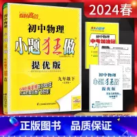 物理 九年级下 [正版]江苏版2024春恩波教育 九年级下册物理苏科版SK提优版 9年级物理九下苏教版同步课时作业训练初
