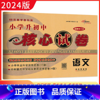 [正版]2024版小学升初中核心试卷 语文 全新版精选全国68所小学毕业升学过关考试训练密卷 小升初语文专项训练 68