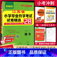 语文 小学升初中 [正版]备考2024 小升初语文江苏省小学毕业升学考试试卷精选28套卷苏教版考必胜春雨小升初系统总复习