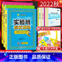 语文+数学+英语 三年级上 [正版]江苏版2022秋实验班提优训练三年级上册语文人教版+数学苏教版+英语译林版 小学3年