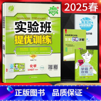 化学 九年级下 [正版]江苏版2025春实验班提优训练九年级化学下册 沪教版HJ 江苏初三9年级化学下学期同步课时训练尖