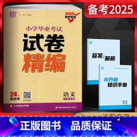 语文 [正版]2025备考密卷 通城学典 小学毕业考试试卷精编 语文 江苏 24份小学毕业考试试卷 2024年江苏省各地