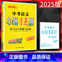 语文 全国通用 [正版]2025版小题狂做提优版中考语文语言文字积累与运用 初三九年级辅导资料练习册 中考冲刺专项专题突