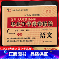 [正版]2024版江苏省小升初考试适用 江苏13大市小学毕业升学真卷精编 语文 精讲精练精选3年真卷实战演练小升初真题