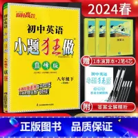 英语 八年级下 [正版]2024春 恩波教育初中英语八年级下册译林版YL 巅峰版 初二8年级英语下江苏版同步课时作业教辅