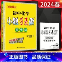 化学 全国版 九年级下 [正版]2024春初中化学巅峰版初三九年级下全国版 9年级下初三化学练习题初中课时作业同步练习册
