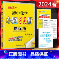 化学 九年级下 [正版]2024春恩波教育提优版九年级下册化学沪教版HJ 初三9年级化学下江苏版同步课时作业训练辅导资料