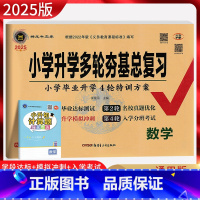 数学 小学升初中 [正版]2025版 小学升学多轮夯基总复习数学 神龙牛皮卷六年级数学升初一辅导资料训练小升初真题卷毕业