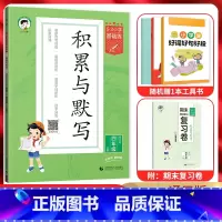 语文 四年级上 [正版]2024秋5.3小学基础练积累与默写四年级语文上册 人教通用版 53五三小学4年级上同步专项训练