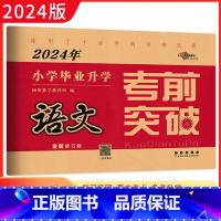 语文 小学升初中 [正版]2024年小学毕业升学考前突破 语文 名校名师小学六年级毕业升学专项训练测试卷 名校小升初必刷