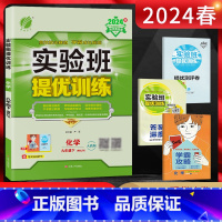 化学 九年级下 [正版]2024春实验班提优训练九年级化学下册人教版RMJY 初三9年级化学下学期同步课时训练尖子生提高