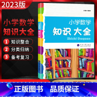 数学 小学通用 [正版]2023版 小学数学知识大全 全国通用版 小学3456三四五六年级上下册通用小学数学资料包专项培