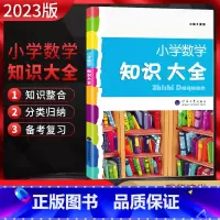 数学 小学通用 [正版]2023版 小学数学知识大全 全国通用版 小学3456三四五六年级上下册通用小学数学资料包专项培