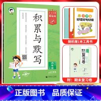 语文 通用版 四年级下 [正版]2024春5.3小学基础练积累与默写四年级语文下册 人教通用版 53五三小学4年级下同步