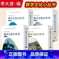 [全4册]数学文化小丛书(第一至第四辑) [正版]数学文化小丛书 第一辑 第二辑 第三辑 第四辑 李大潜主编 高等教育出