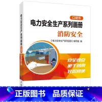 [正版]出版社直供电力安全生产系列画册 口袋书 消防安全 消防基本常识书籍 空气呼吸器使用书籍 初起火灾应对与火场逃生