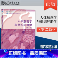 [出版社直供]人体解剖学与组织胚胎学 第2版 第二版 邹锦慧 李日伦 张路赢 艾卫敏 高等教育出版社 9787040 [