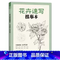 [正版]书豪图书直发经典全集 花卉速写描摹本 零基础画画入门新手自学教程书籍线描