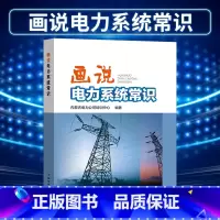 [正版]出版社直供画说电力系统常识 工业技术 电工技术 发电 发电厂 内蒙古电力公司培训中心 中国电力出版社