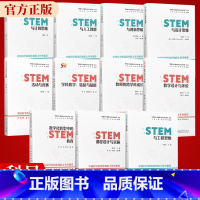 [全11册]中国STEM教育2029行动计划丛书 [正版]STEM与人工智能 中国STEM教育2029行动计划丛书 王素