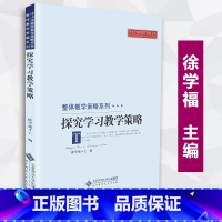 [正版]探究学习教学策略 徐学福 整体教学策略系列 中小学教师教学策略书系 北京师范大学出版社