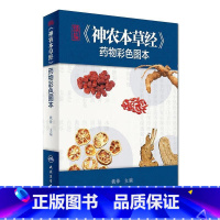 [正版]精编神农本草经药物彩色图本 自学中医入门医学类原版图解图鉴本草纲目伤寒论黄帝内经杂病原著中药材中药书中草药书籍