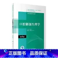 [正版]口腔解剖生理学 第4版第四版2021年马慧萍解刨颌面外科创伤组织病理学2023口腔内科学人民卫生出版社